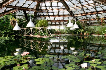 Ботанический сад «Оранжерея Ботанического сада»