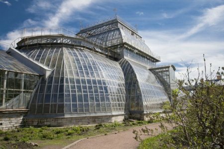 Фото ботанического сада в петербурге